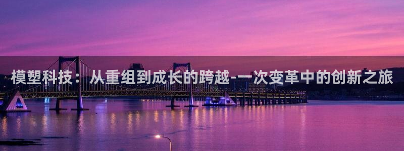 模塑科技：从重组到成长的跨越-一次变革中的创新之旅