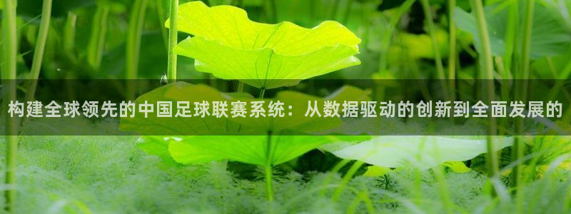 构建全球领先的中国足球联赛系统：从数据驱动的创新到全面发展的