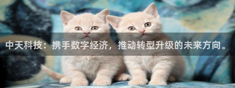 中天科技：携手数字经济，推动转型升级的未来方向。