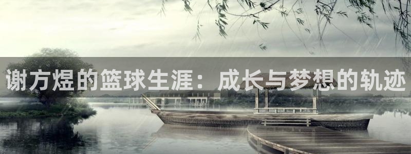 谢方煜的篮球生涯：成长与梦想的轨迹
