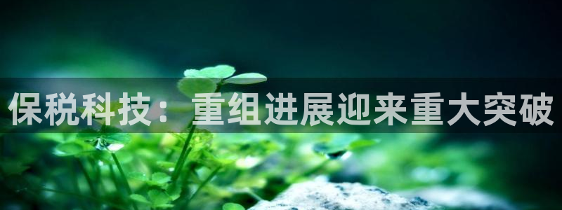 保税科技：重组进展迎来重大突破